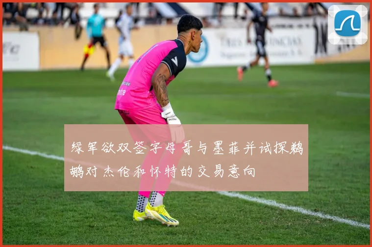 绿军欲双签字母哥与墨菲并试探鹈鹕对杰伦和怀特的交易意向